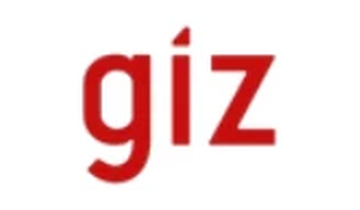 GIZ logo